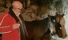 La yegua y el potro permanecen en una cuadra de la parroquia de Malvas. 