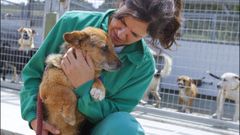 Bugui tiene unos nueve a�os y los �ltimos cinco los ha pasado en Moug�. Camino Ferrero, la veterinaria, cuenta que es muy bueno y simp�tico, pero por su edad lo tiene m�s dif�cil para encontrar un  hogar