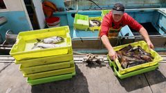 Descarga de pescado para subastar en la lonja de Ribeira