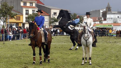 Feria caballar en las Fiestas de San Marcos 2019