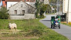 Imagen de archivo de Cea