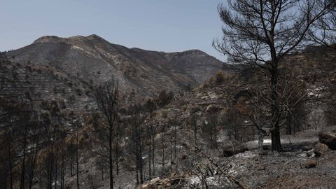 La Vall d'Uix�, este mi�rcoles tras el paso del incendio