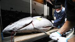 Yukitaka Yamaguchi, presidente de la empresa que compr� el at�n rojo, particip� en el troceado de un pescado que pes� 208 kilos
