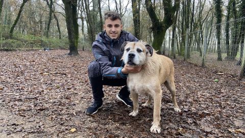 Rubio, un perro de la protectora de Lugo que lleva ocho aos viviendo en el albergue