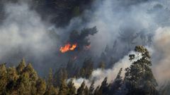 Imagen deun incendio forestale registrado en el concejo asturiano de Llanes en el ao 2017