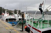 Pesqueros amarrados en el puerto de Cedeira, por el temporal de hace tan solo una semana.