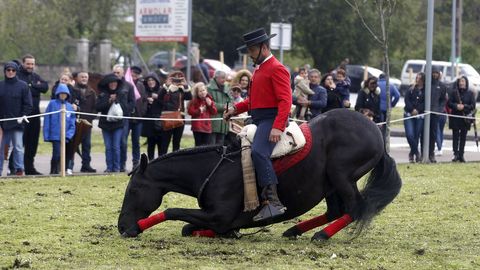 Feria caballar en las Fiestas de San Marcos 2019