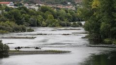 El cauce del Mi�o  tiene en algunos tramos peque�as isletas que afloran al bajar el nivel del agua