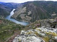 El h�bitat del singular helecho se halla en las zonas rocosas de la ribera de Doade. 