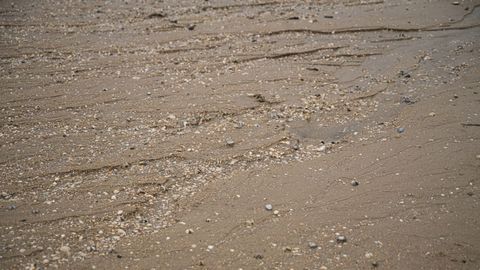 El estado del fondo marino de los bancos marsqueros de A Illa