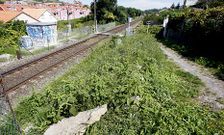 El de Trabanca es, junto al de Bamio, el �nico paso a nivel todav�a operativo en Vilagarc�a. 