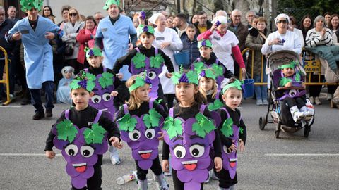 Desfile de Entroido en Valga