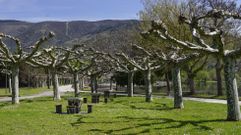 La carrera saldr� de O Aguill�n.