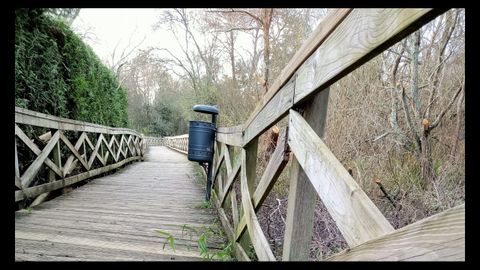Humidal A Xunqueira, do que o BNG denuncia o seu mal estado