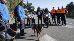 Operativo de b�squeda de Nerea A�el en Barbad�s, en el mes de febrero