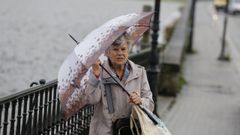 El temporal de viento y lluvia provocado por el huracn Kirk azot Viveiro