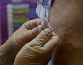 La campa�a de vacunaci�n arranc� de nuevo con fuerza.