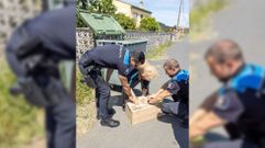 Los policas despus de sacar el gallo del contenedor, que est al fondo con la tapa abierta