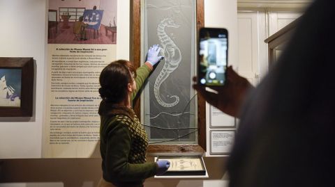 Vidriera con un caballito de mar para un conjunto art�stico de una puerta, hecha por Urbano Lugr�s y expuesta en el Museo Mass� de Bueu