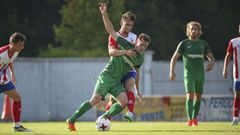 El Cerceda-Ferrol, en im�genes