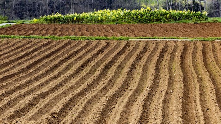 Imagen de archivo de un campo arado