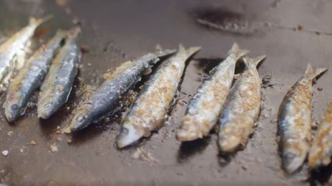 Un frame del programa