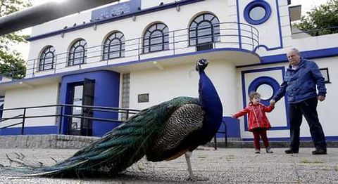 El Aula de Ecolox�a Urbana abri� ayer por �ltima vez sus puertas en el edificio del Reina Sof�a. 