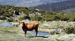 La sierra barbanzana hab�a sido propuesta anteriormente para gozar de un mayor nivel de protecci�n.