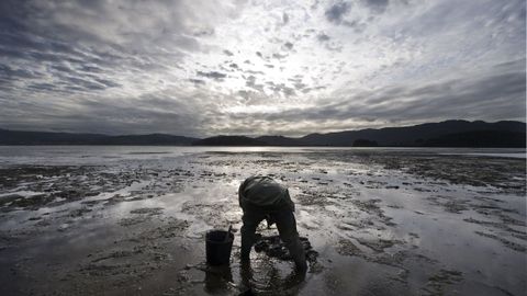 Una mariscdora recolecta almeja en la r�a de Ortigueira, en una imagen de archivo