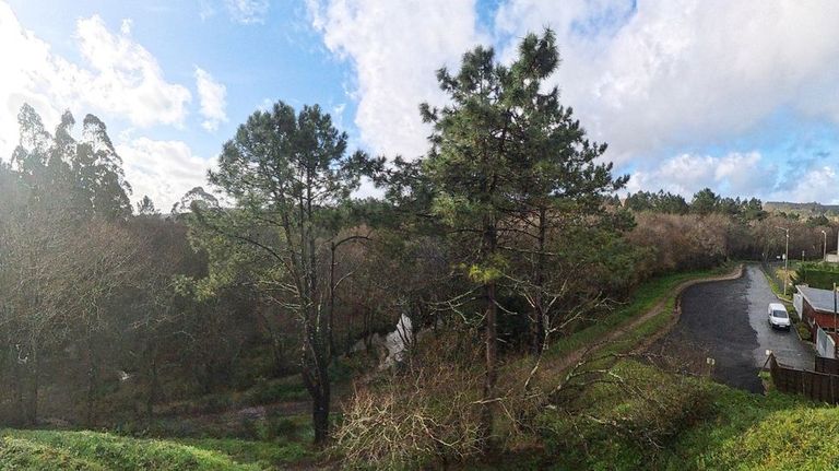 Lo que ahora es bosque, y bastante tupido, en pocos a�os deber�a albergar calles y naves industriales. La de la imagen es una de las zonas afectadas. En medio se ve un r�o, que es el Rego da Balsa. Cerca de ah� estar� la depuradora. M�s arriba quedan los restos de un molino, que se respetan, con zona verde alrededor.