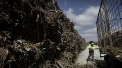 Trabajos en la planta de biomasa de Greenalia en Curtis, en foto de archivo