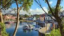 Navia