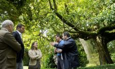 La ruta incluye en el pazo de Oca cuatro elementos singulares, y otros dos en Callobre y Valboa. 