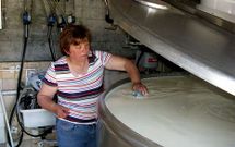 Uno de los tanques de leche de la granja de Paredes, ubicada en la parroquia de Cabanas (A Ba�a).