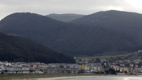 Plantaciones de eucaliptos en Viveiro, en imagen de archivo