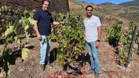 De izquierda a derecha Ricardo Macedo, enlogo de vinos tranquilos de Kopke Group, yMrcio Nobrega, director del viticultura