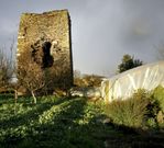 Hispania Nostra meteu hai uns meses na s�a lista vermella a Torre de Taboi, en Outeiro de Rei. 