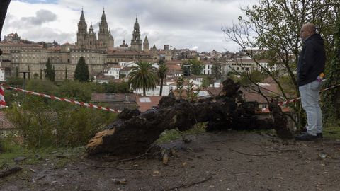 Destrozos en el parque de la Alameda en Santiago. 