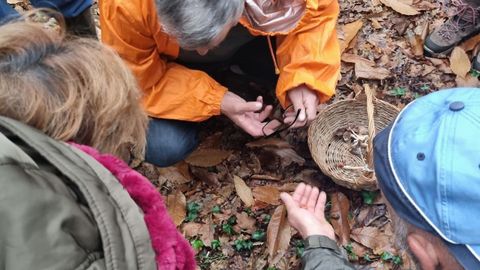 Actividad de Viriato en el Concello de Neda