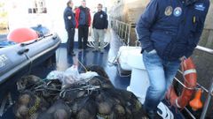 Vieira decomisada en una redada desarrollada en la r�a de Ferrol 