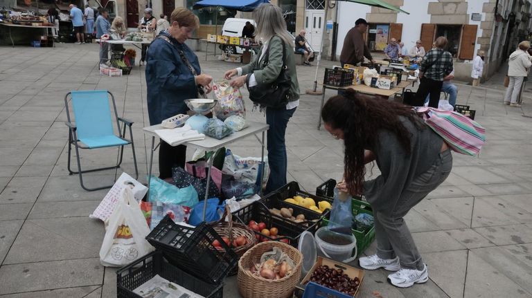 <span lang= gl >Pequenos produtores venden nestas�datas (en imaxe, mercado semanal dos xoves�na Praza Maior de Viveiro) excedentes das s�as colleitas</span>