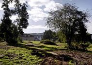 La parcela sin desarrollar inmediata al castro Alobre ronda las dos hect�reas de superficie.