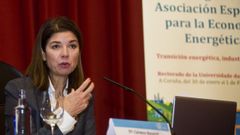 Carmen Becerril, presidenta del operador del mercado el�ctrico
