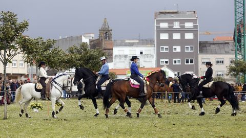 Feria caballar en las Fiestas de San Marcos 2019