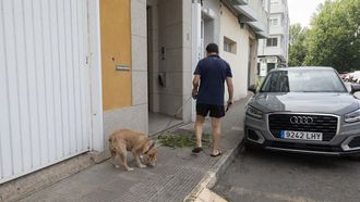 Solo en Carballo est�n censados, con chip y documentaci�n actualizada, 8.532 perros.