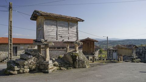 Imagen de archivo de un hrreo en Ton