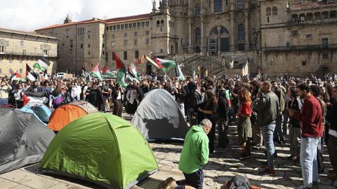 Manifestacin propalestina en Santiago