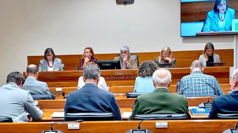 La consejera de Transicin Ecolgica, Nieves Roque, durante su comparecencia en la Junta General