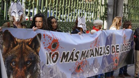 Vista de la protesta este viernes contra la caza de lobos en Oviedo