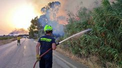 Incendio forestal registrado en Jerez